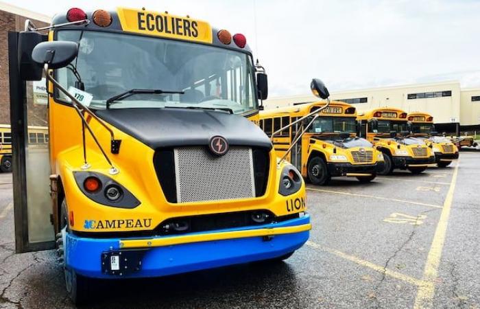 Two to three times more expensive for a school bus trip