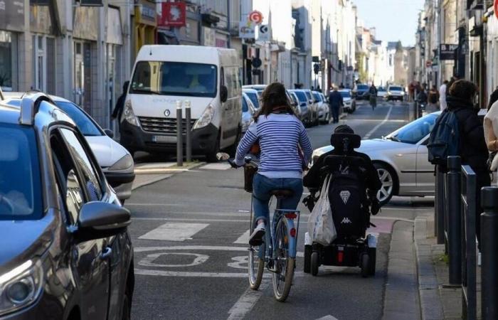 The question of the day. Safety of cyclists: should we ban cars from the roads?