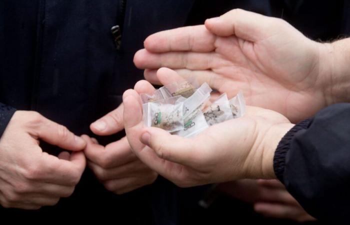 Drug trafficking: who deserves to be punished?