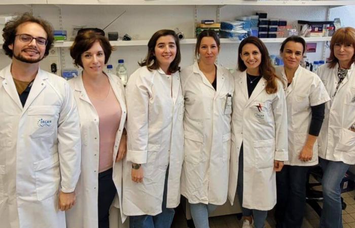 Researchers from Nice make a major breakthrough in Charcot disease