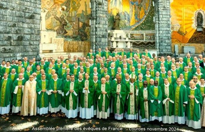 Plenary assembly of the bishops of France, what results? -ZENIT