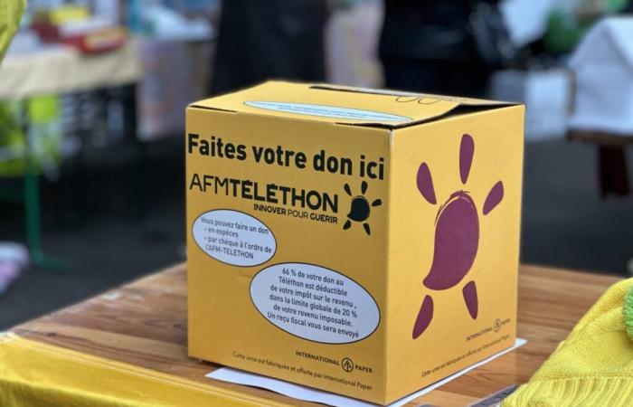 Morbihan. Discover the 2024 Telethon program