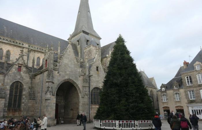 in Guérande, the giant Christmas tree is already up!