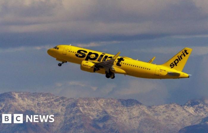 Airlines suspend flights as Spirit plane hit by gunfire