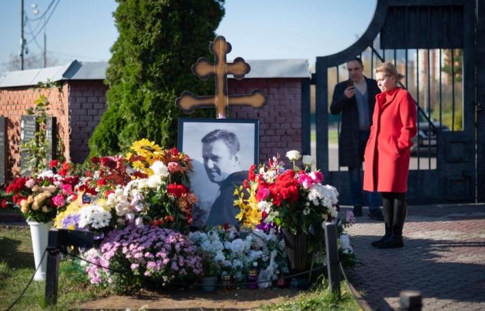 Patriot, by Alexeï Navalny | Memories from beyond the grave