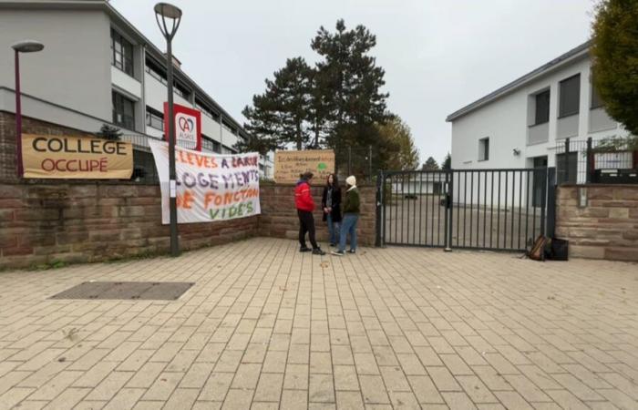 college teachers on strike to obtain rehousing for homeless students