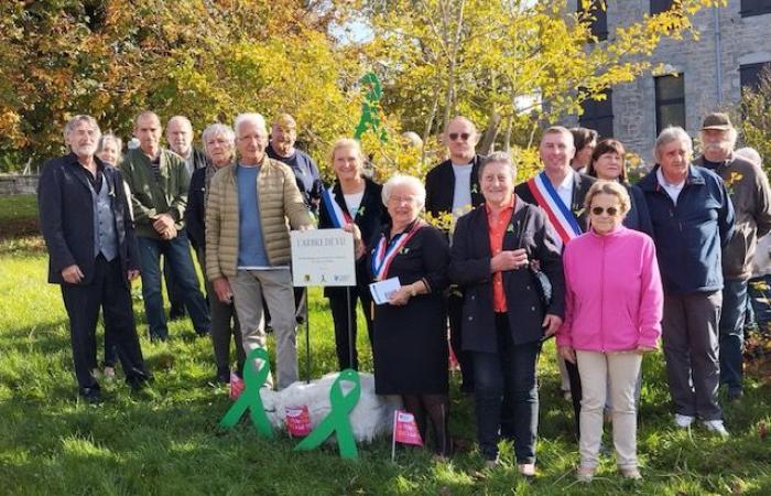 Champagnole & Region. A tree of life to honor organ donors, a first in the Jura! | Weekly 39