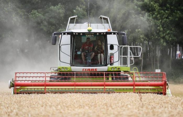 A combine harvester hits a town hall building