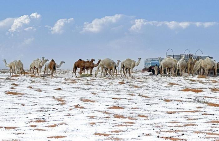 Surprising images of a desert covered in hail and snow in Saudi Arabia