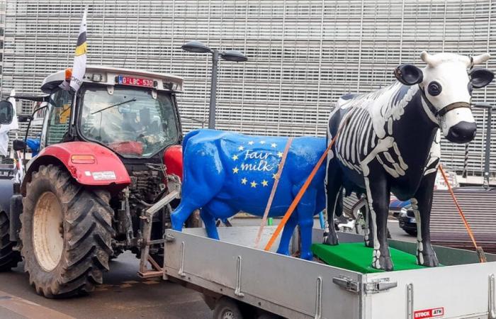 The tractors are back: farmers will demonstrate in Brussels this Wednesday, traffic problems expected