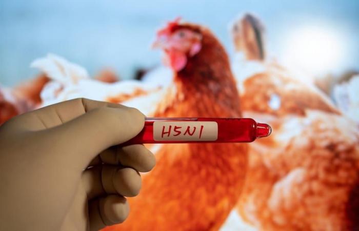 First suspected case of avian flu in humans in Canada