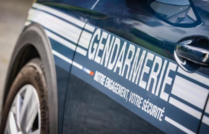 The bodies of three children, aged 2 to 13, found in a house in Haute-Savoie