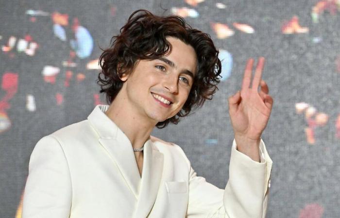 Timothée Chalamet admits to having been the victim of “body shaming” at the start of his career