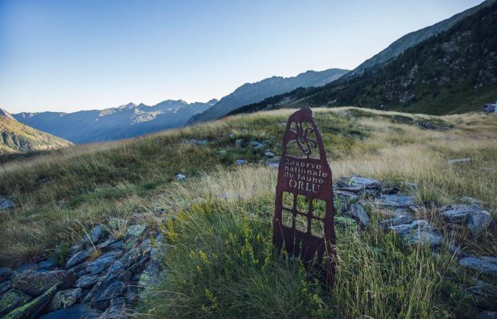 Ariège: The astonishing Orlu hunting and protection reserve, a living sanctuary