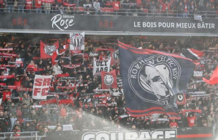 the breakdown of a supporter after the defeat against Toulouse