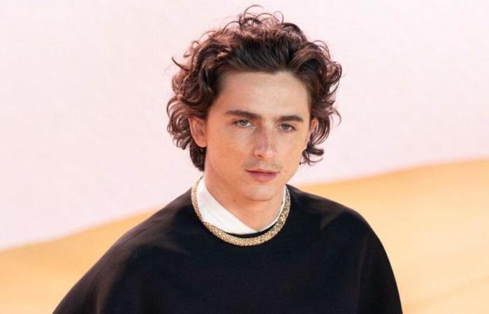 Anecdote: That time Timothée Chalamet was asked to gain weight