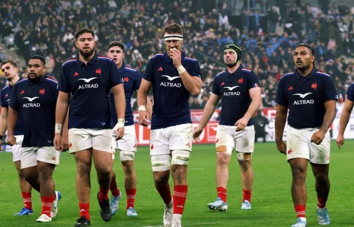 XV of France – Alexandre Roumat before facing New Zealand: “We have all already done a haka in our living room…”