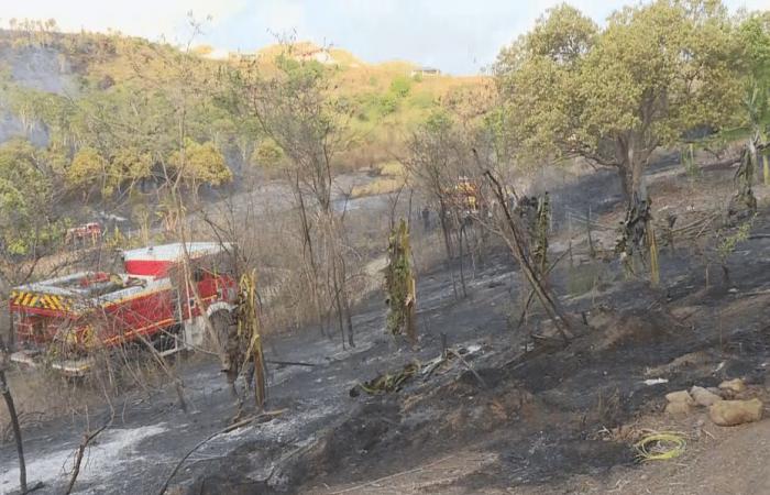 around twenty hectares burned in Païta