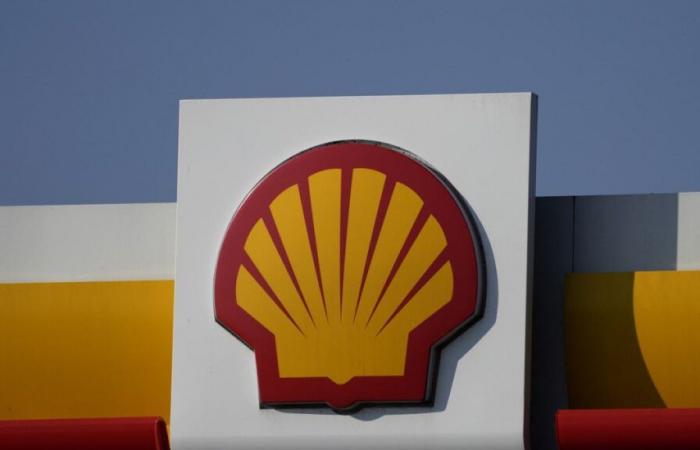 Dutch appeals court overturns landmark climate ruling against Shell