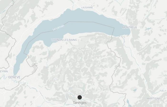 In Haute-Savoie, the French gendarmerie finds three dead children, their mother wanted