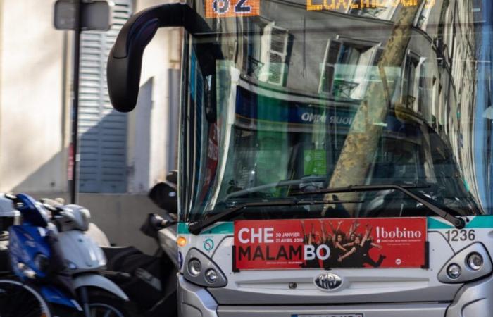 bus driver fired for intimidating cyclist in Paris