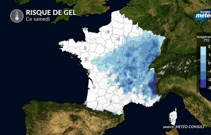 First late frosts this week: which regions will be affected?