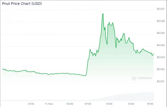 Best Crypto to Buy Now November 11