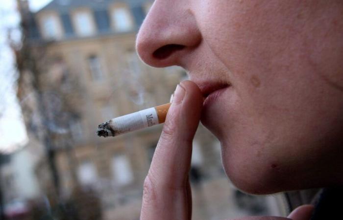 “For it to be available in France, it would be a very good idea,” says a tobacco specialist