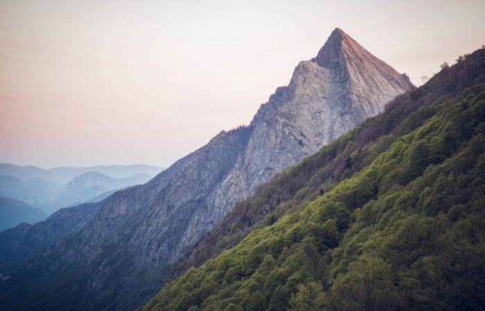 Ariège: The astonishing Orlu hunting and protection reserve, a living sanctuary