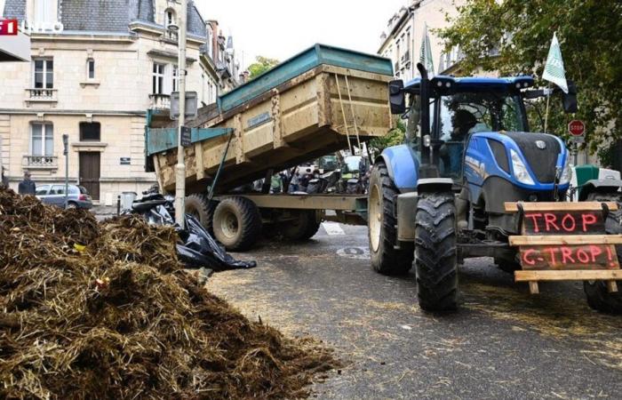 Angry farmers: what to expect in the coming days in France?