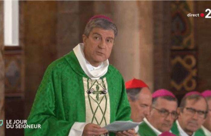 Homily for the Mass of the 32nd Sunday of Ordinary Time, televised Mass of the Lord's Day, during the Fall 2024 Plenary Assembly of the Bishops of France