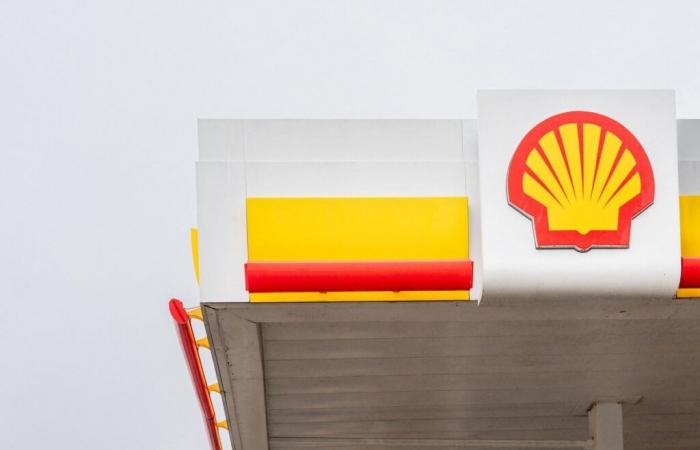 NGOs rejected in appeal in case against Shell