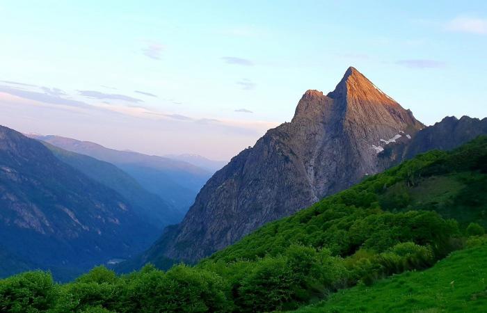 Ariège: The astonishing Orlu hunting and protection reserve, a living sanctuary