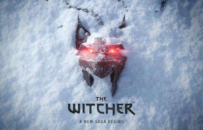 The Witcher 4: the game's GOG sheet reveals a strange placeholder | Xbox