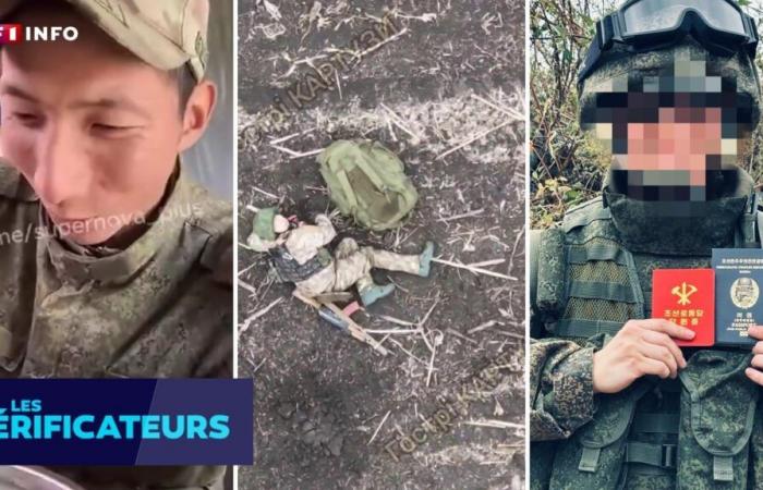 CHECK – North Korean soldiers in Russia: what we know about the images that prove their presence