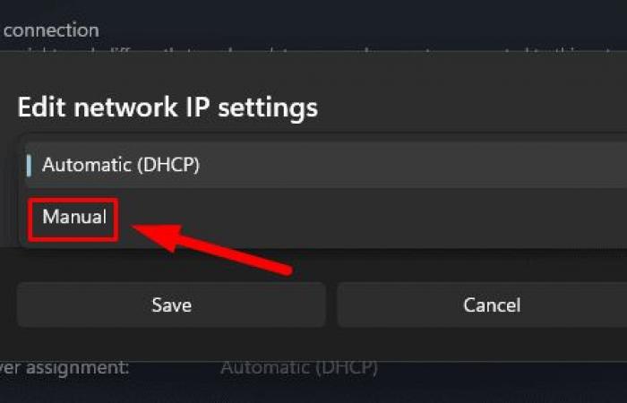 Unable to find DNS address in Windows 11