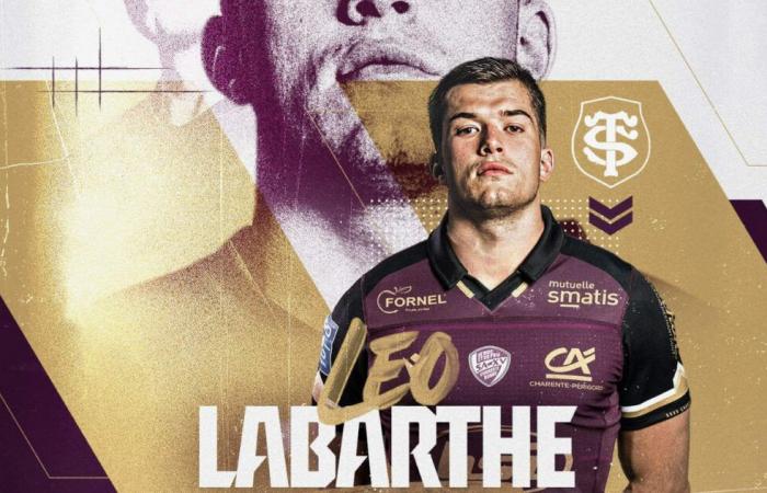 Léo Labarthe, Stade Toulousain hopeful, loaned to SA XV to strengthen the second line (with immediate effect) – Quinze Ovalie