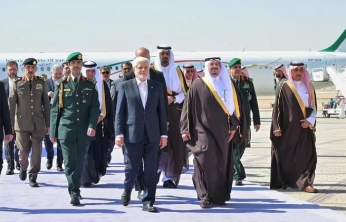 Arab and Muslim countries raise their voices against Israel