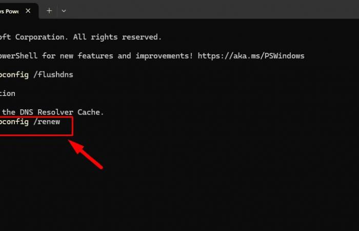 Unable to find DNS address in Windows 11