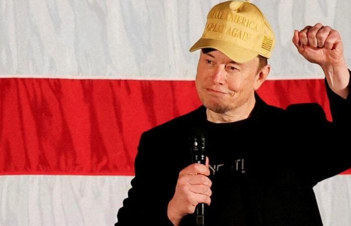 Donald Trump appoints Elon Musk to head a “government efficiency” ministry