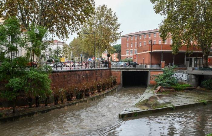 Weather: In recent weeks, there has been as much rain in Perpignan as in an entire year of drought