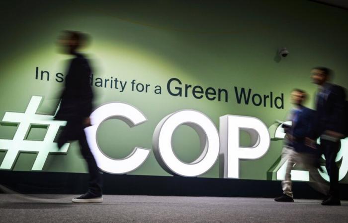 What climate under Trump? World leaders respond to COP29