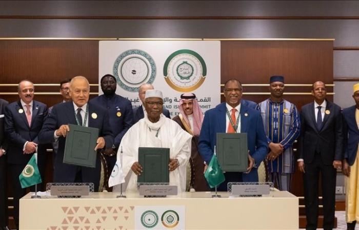 OIC, Arab League and African Union sign support mechanism for Palestine