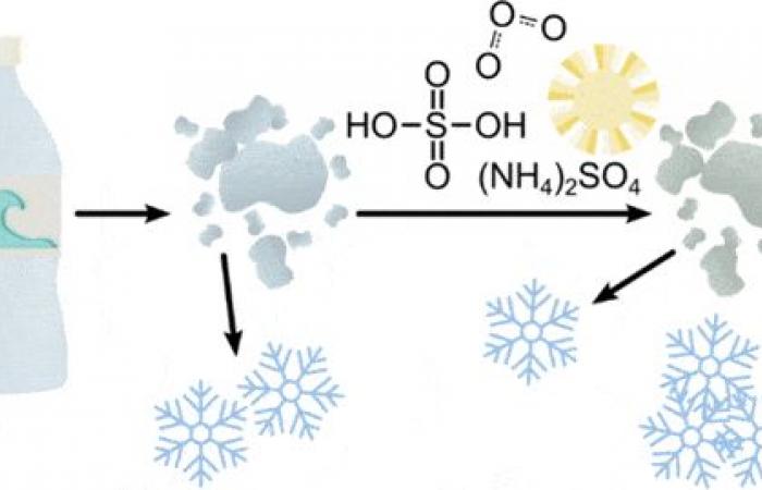 Microplastics in the atmosphere influence weather and climate