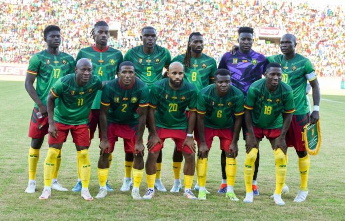 Indomitable Lions: four players missing