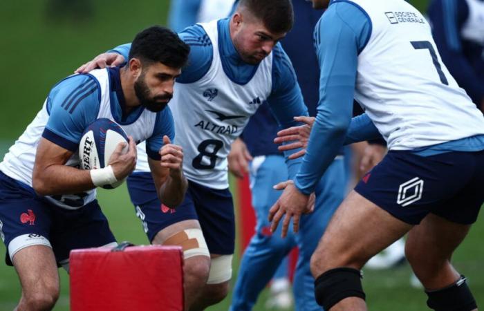 injured, executive returns, surprise starter… The first indications on the composition of the Blues against New Zealand