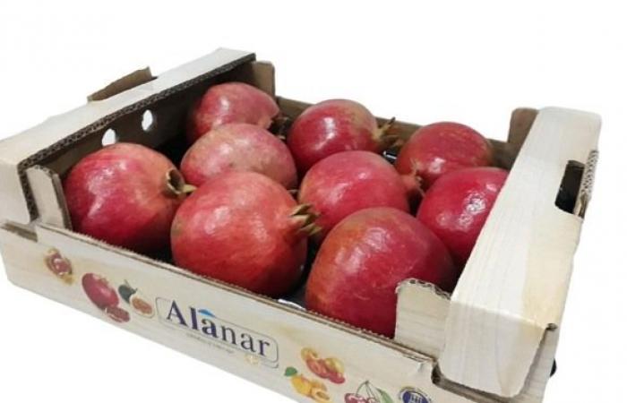 Low prices make Turkish pomegranate season difficult