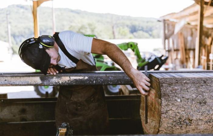 In Dordogne, an associative sawmill for a living forest