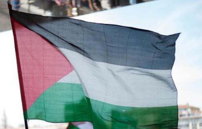 A “pro-Palestine” demonstration will be held on Wednesday in Paris