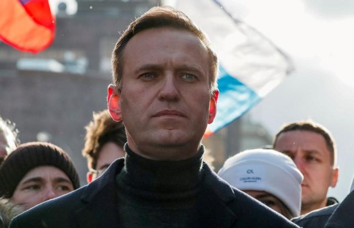 Patriot, by Alexeï Navalny | Memories from beyond the grave